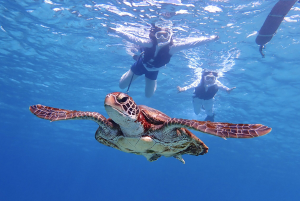 宮古ぱちツアーズ